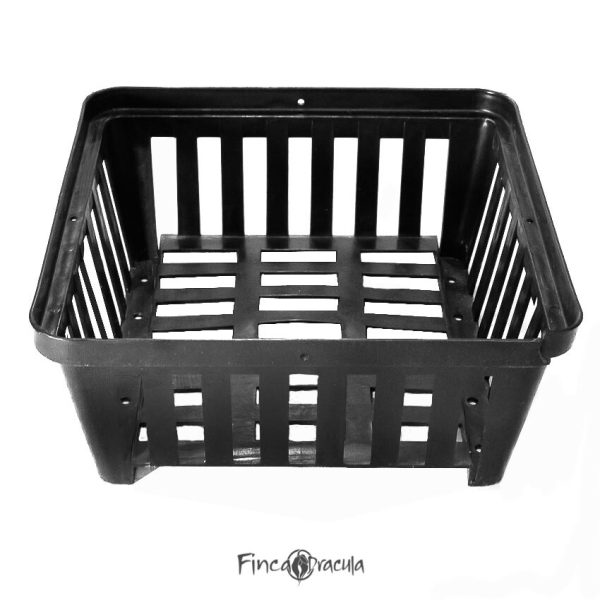 Canasta de vandas negra 10"