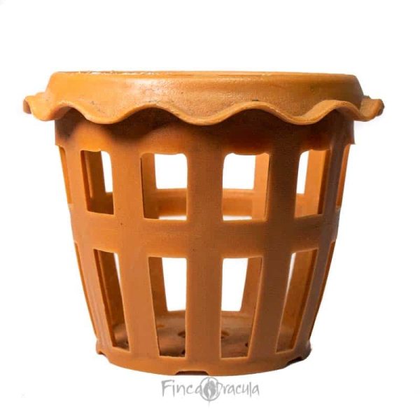 Canasta de Orquídea decorativa terracota 3.5" - Imagen 2